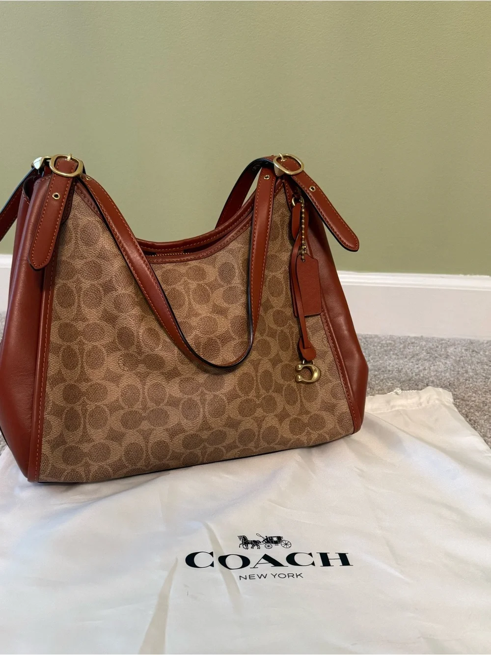Coach Brown Signature Canvas Shoulder Hobo with Saddle Leather Trim